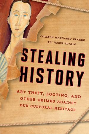 Book cover of Stealing History