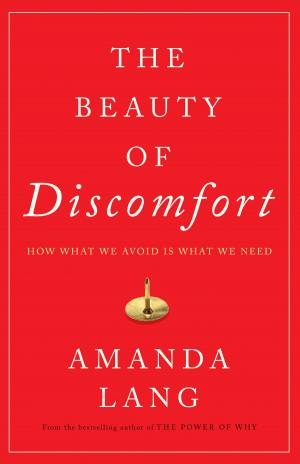 Cover of the book The Beauty of Discomfort by Patrick Heenan