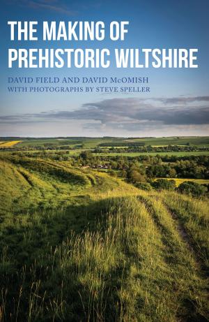 Cover of the book The Making of Prehistoric Wiltshire by Colin Manton