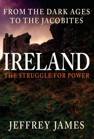 Book cover of Ireland: The Struggle for Power