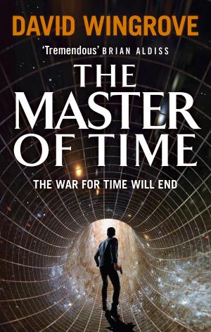 Book cover of The Master of Time