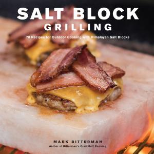 Cover of the book Salt Block Grilling by Judith Martin, Nicholas Ivor Martin
