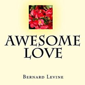 Cover of the book Awesome Love by Bernard Levine