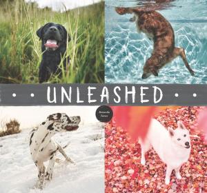 Cover of the book Unleashed by Bravo