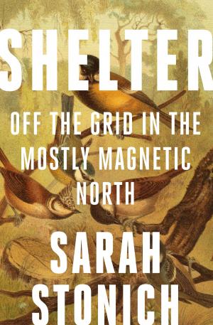Cover of the book Shelter by Vidar Sundstøl