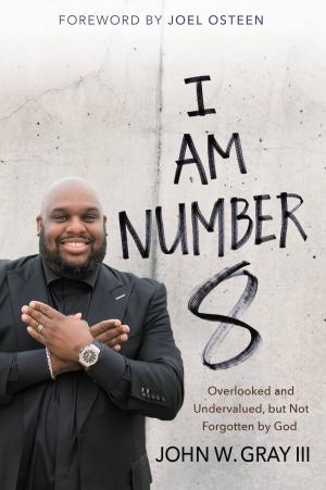 Cover of the book I Am Number 8 by Kristen Dalton Wolfe