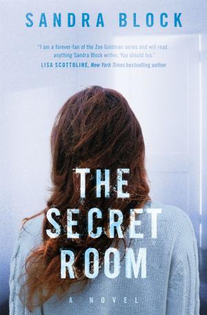 Cover of the book The Secret Room by Laurie David, Kirstin Uhrenholdt, Jonathan Safran Foer
