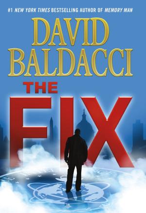 Cover of the book The Fix by Diana Gardin