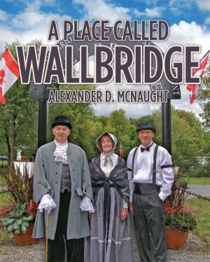 Cover of the book A Place Called Wallbridge by Margot A. Sobers