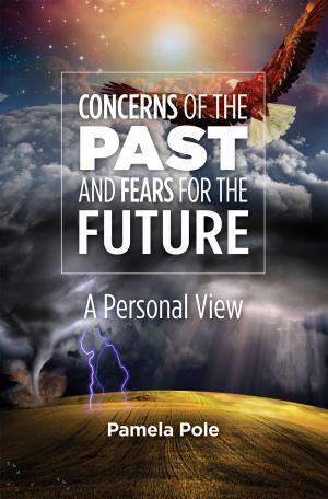bigCover of the book Concerns of the Past and Fears for the Future by 
