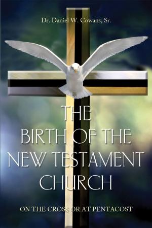 Cover of the book The Birth of the New Testament Church by Victoria Saccenti