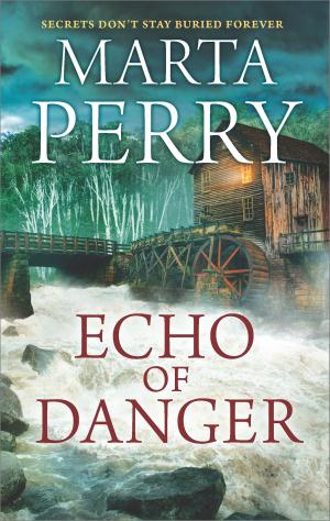 Cover of the book Echo of Danger by Candace Camp