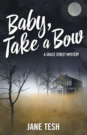 Cover of the book Baby, Take a Bow by Sheryl Berk, Carrie Berk