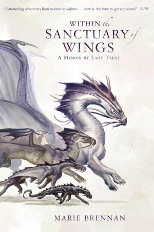 Cover of the book Within the Sanctuary of Wings by Levi Black