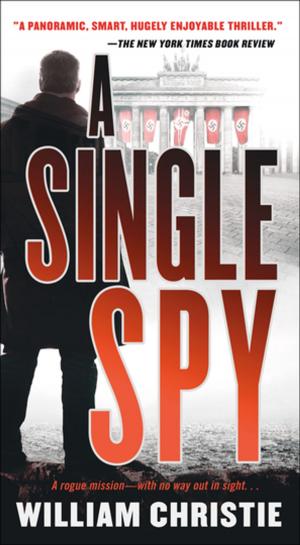 Cover of the book A Single Spy by Karen Bergreen