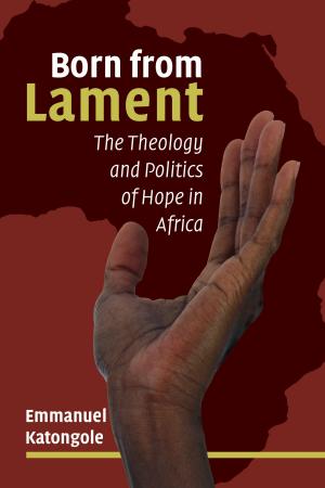 Cover of the book Born from Lament by 