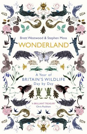 Cover of the book Wonderland by Stephen Leather