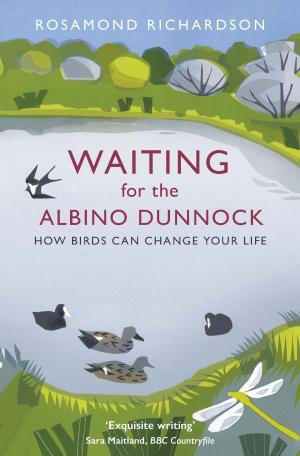 Cover of the book Waiting for the Albino Dunnock by Matthew Arnold