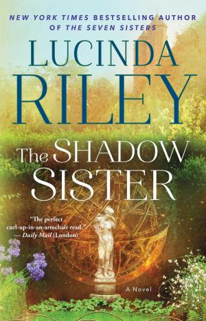 Cover of the book The Shadow Sister by Shirley Sherrod
