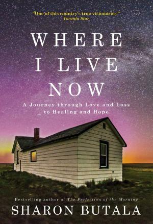 Book cover of Where I Live Now