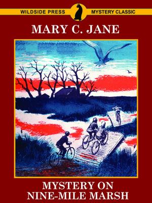 Book cover of Mystery on Nine-Mile Marsh