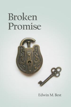 Cover of the book Broken Promise by Damaja Le