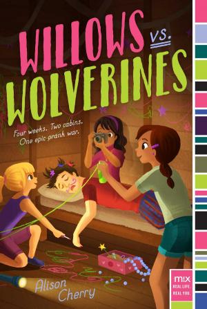 Cover of the book Willows vs. Wolverines by Franklin W. Dixon