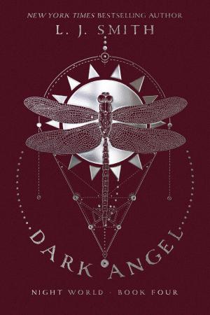 Cover of the book Dark Angel by Nancy Holder, Christopher Golden