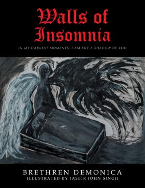 Cover of the book Walls of Insomnia by Jaya Raj Kozandapani