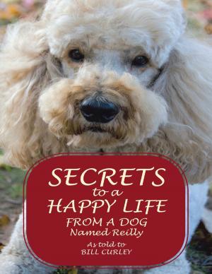 Cover of the book Secrets to a Happy Life from a Dog Named Reilly by Debra Ann Romano