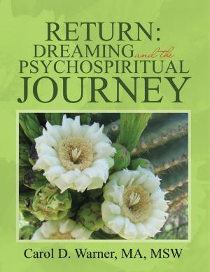 Cover of the book Return: Dreaming and the Psychospiritual Journey by Jeremiah Foley