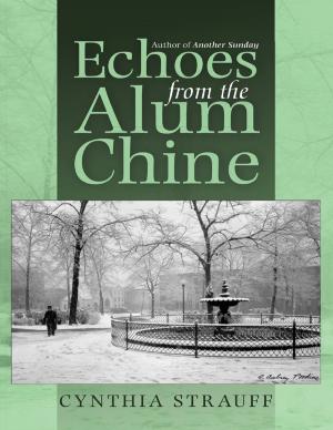 Cover of the book Echoes from the Alum Chine by John O'Shea