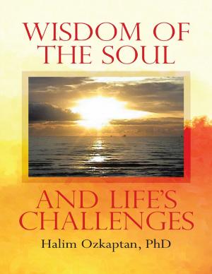 Cover of the book Wisdom of the Soul and Life's Challenges by AshiAkira