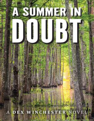 Cover of the book A Summer In Doubt by Eric Lynn Thomas