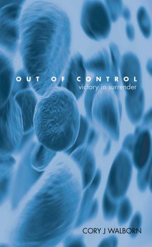 Cover of the book Out of Control by Steve Pavlina