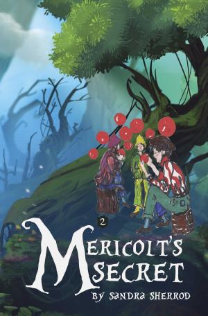 Cover of the book Mericolt's Secret by M.R. Clutter