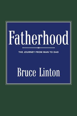 Cover of the book Fatherhood by Dan Feltham