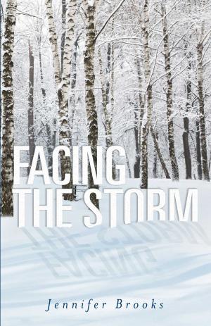 Cover of the book Facing the Storm by Steve Milner PhD LCSW
