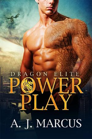 Cover of the book Power Play by Keiko Alvarez