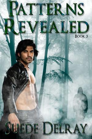 Cover of the book Patterns Revealed by Caitlin Ricci, A.J. Marcus