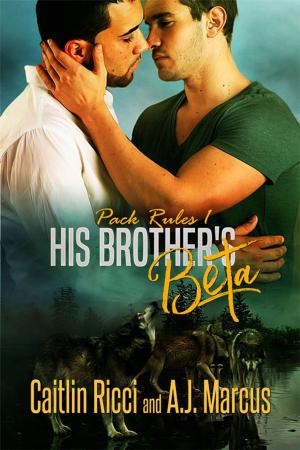 Cover of the book His Brother's Beta by Laura Tolomei