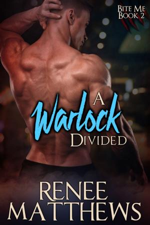 bigCover of the book A Warlock Divided by 