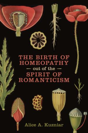 Cover of the book The Birth of Homeopathy out of the Spirit of Romanticism by Willem Vanderburg