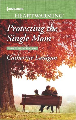 Cover of the book Protecting the Single Mom by Paula Graves, Robin Perini