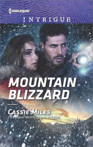 Cover of the book Mountain Blizzard by Suzanne Forster