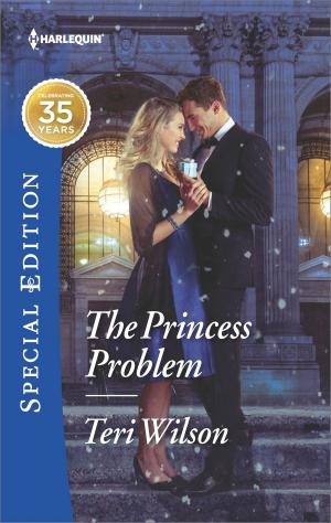 Cover of the book The Princess Problem by Jennifer Taylor, MIYAKO FUJIOMI