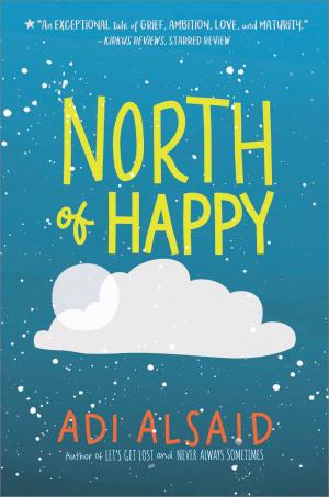 Book cover of North of Happy