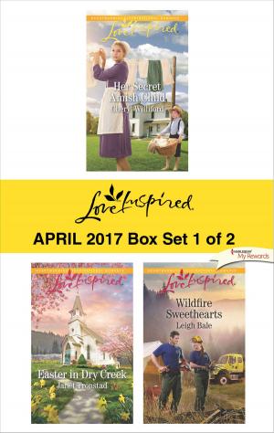 Book cover of Harlequin Love Inspired April 2017 - Box Set 1 of 2