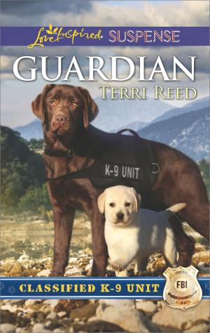 Cover of the book Guardian by Ann Paquette