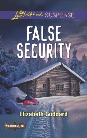 Cover of the book False Security by Dan Dilbert